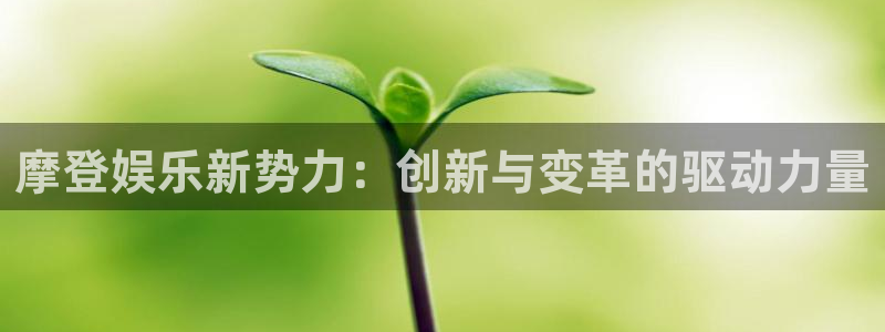 永信贵宾会大厅：摩登娱乐新势力：创新与变革的驱动力量