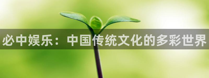 永信贵宾会信誉好不：必中娱乐：中国传统文化的多彩世界