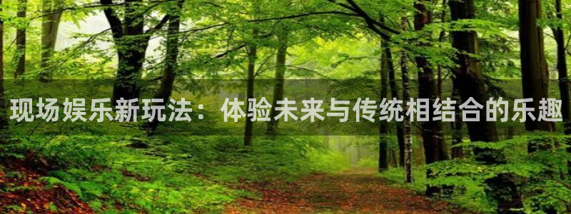 永信贵宾会官网217：现场娱乐新玩法：体验未来与传统相结合的乐趣
