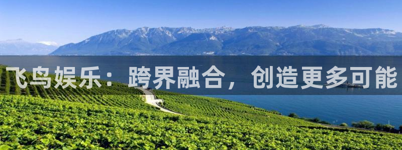 永信贵宾会大厅：飞鸟娱乐：跨界融合，创造更多可能