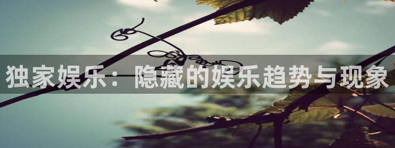 永信贵宾会手机版：独家娱乐：隐藏的娱乐趋势与现象
