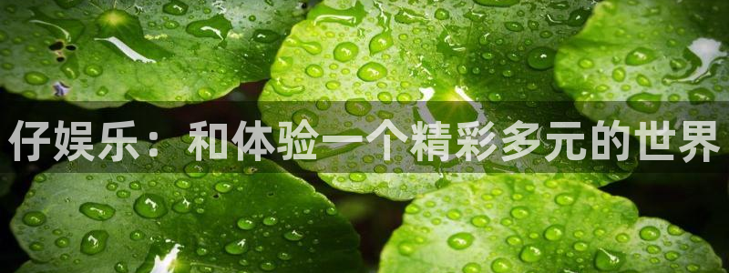 永信贵宾会大厅：仔娱乐：和体验一个精彩多元的世界