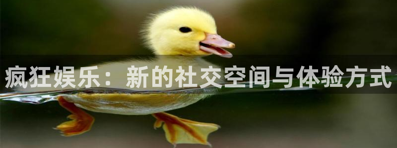 永信贵宾会：疯狂娱乐：新的社交空间与体验方式