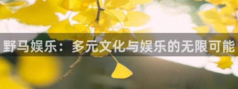 永信贵宾会官网217：野马娱乐：多元文化与娱乐的无限可能