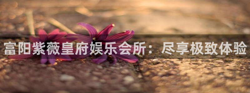 永信贵宾会网址：富阳紫薇皇府娱乐会所：尽享极致体验