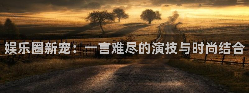 永信贵宾会：娱乐圈新宠：一言难尽的演技与时尚结合