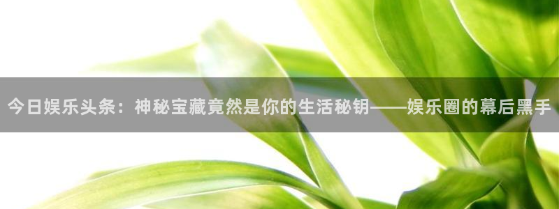 永信贵宾会网址：今日娱乐头条：神秘宝藏竟然是你的生活秘钥——娱乐圈的幕后黑手