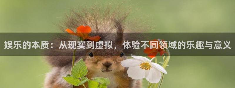 永信贵宾会最新地址：娱乐的本质：从现实到虚拟，体验不同领域的乐趣与意义