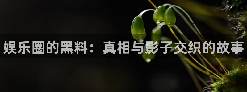 永信贵宾会信誉好不：娱乐圈的黑料：真相与影子交织的故事